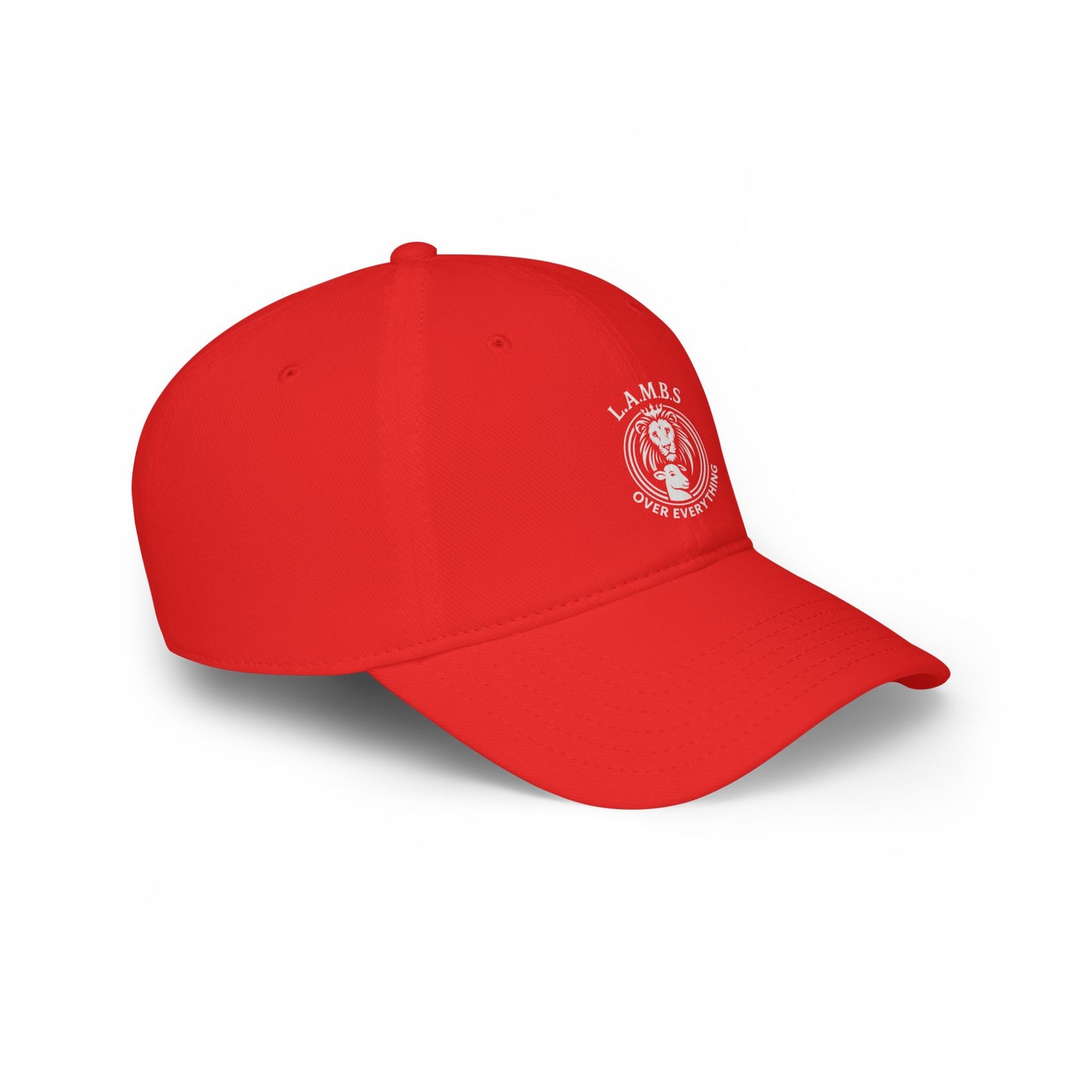 Women's L.A.M.B.S hat